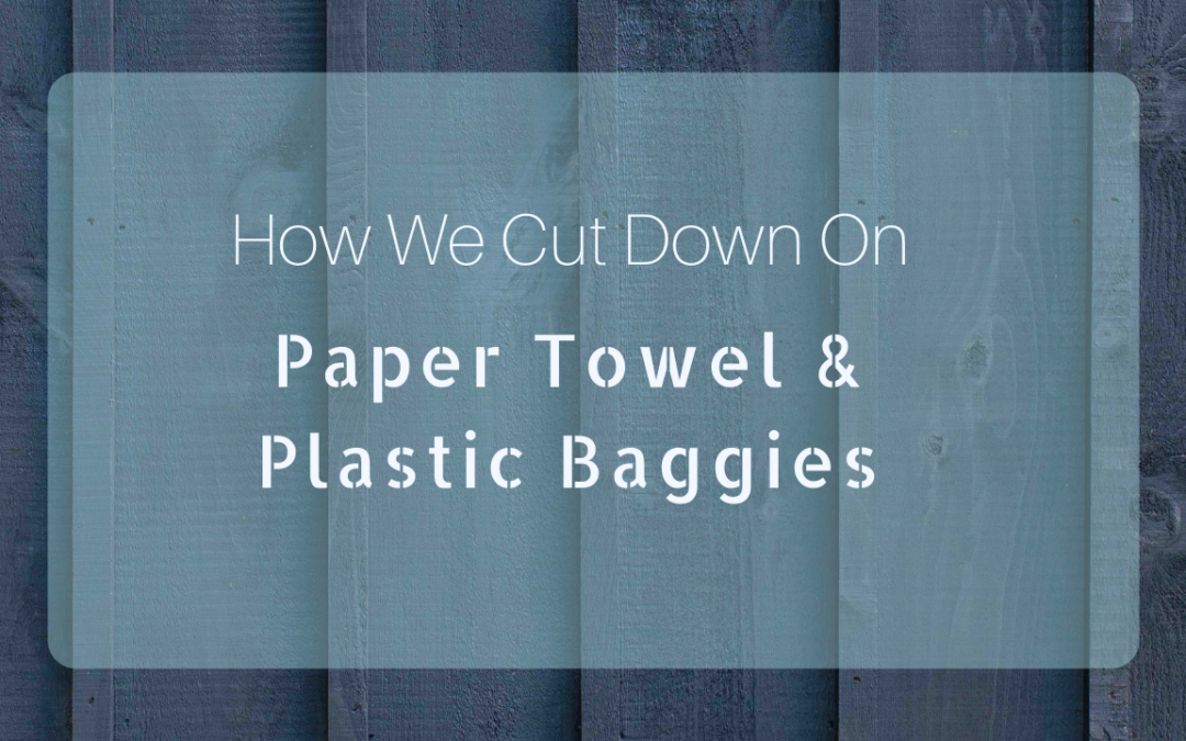 How To Give Up Paper Towels & Plastic Bags