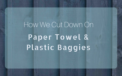 How To Give Up Paper Towels & Plastic Bags