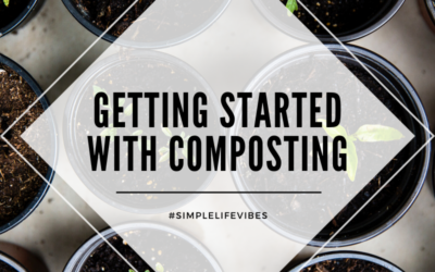 What You Can Compost: A Simple Guide