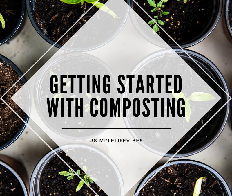 What You Can Compost: A Simple Guide